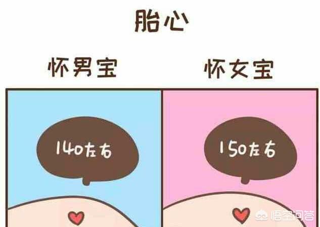 怀孕期间如何判断胎儿性别？怀男怀女的身体反应有哪些？