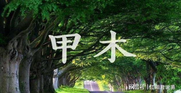 八字过弱是什么意思？从弱格又是什么？好不好？