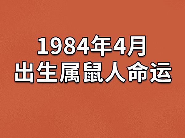 1988 年 4 月 26 日出生的人命运如何？八字排盘详解